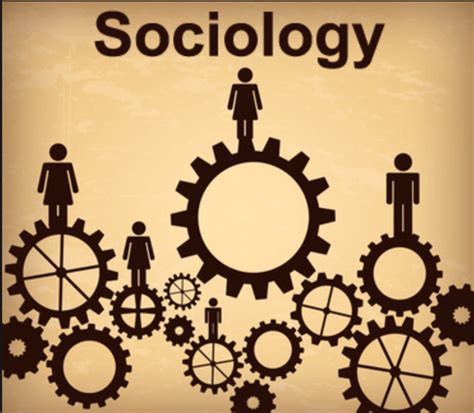 12 Signs You Re A Sociology Major
