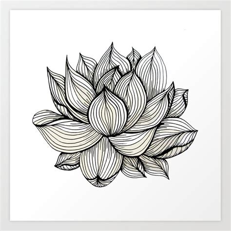 Lotus Flower Black And White Nature Organic Design