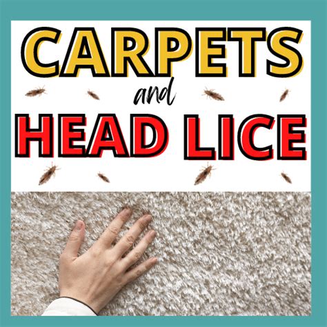 Lice And Carpets Proven Ways To Treat Carpet After Head Lice