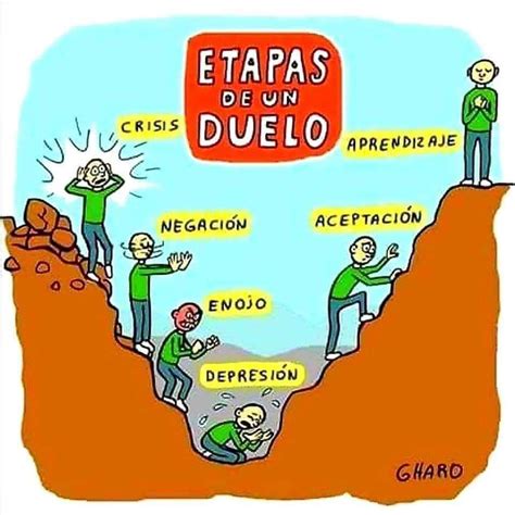 Fases Del Duelo