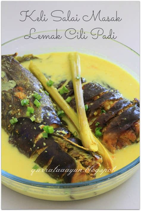Ikan keli masak lemak daun kaduk yang sedap dan wangi. Resepi Ikan Keli Masak Lemak Belimbing Wuluh ~ Resep ...