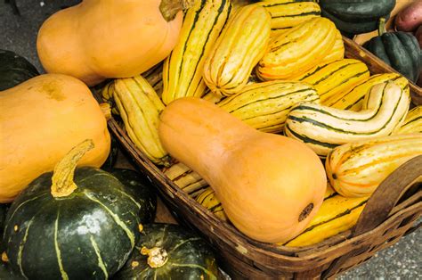 25 Different Types Of Squash—and How To Use Them Parade