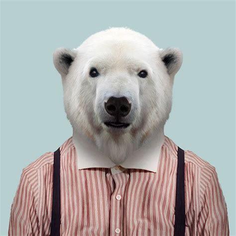 Yago Partal Photography Artwork And Film Zoo Portraits Polar Bear