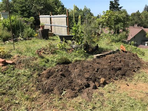 Soil Mound Gardening Garden Ftempo