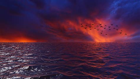 Download Wallpaper 1600x900 Waves Sky Birds Horizon Sunset Sea