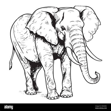 Elefant African Walking Hand Gezeichnete Skizze Illustration Stock