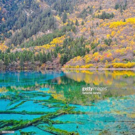 Jiuzhaigou National Park Photos And Premium High Res Pictures Getty