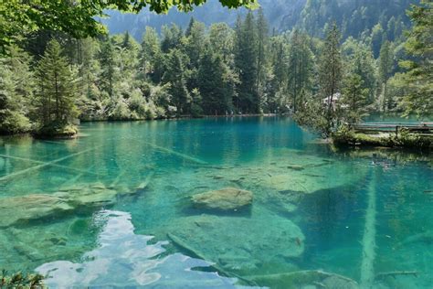 Check spelling or type a new query. The famous Lake Blausee in Switzerland - Butter.and.fly