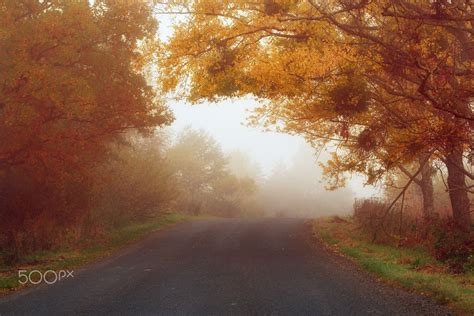 Road To The Fog Rural Foggy Autumn Landscape With Car Road And Red
