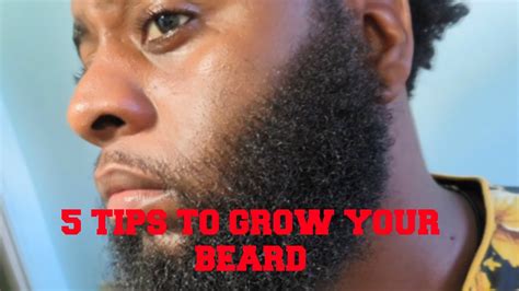how to grow your beard 5 tips youtube