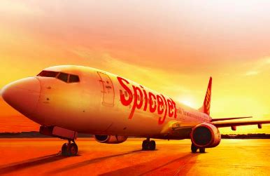 Search and buy spicejet flights with alternative airlines. SpiceJet becomes first airline to connect Sikkim