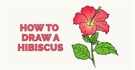 How To Draw A Hibiscus Really Easy Drawing Tutorial