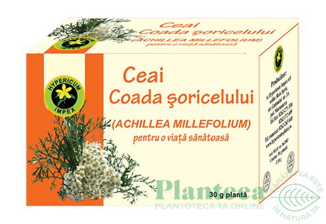 Ceai Coada Soricelului G Hypericum Plant Pret Lei Planteea