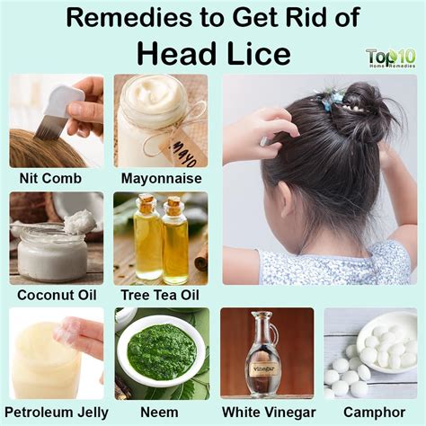 How To Get Rid Of Lice Permanently By Home Remedies Home