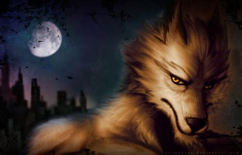 44 Furry Wolf Wallpaper On Wallpapersafari