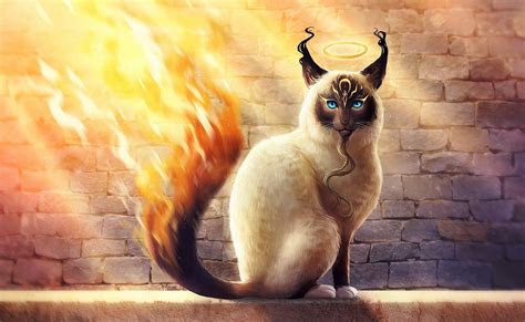 110 Fantasy Cat Hd Wallpapers And Backgrounds