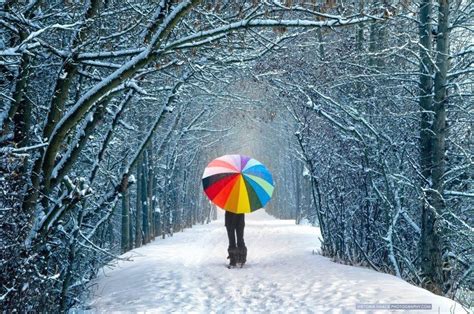 50 Most Spectacular Snowfall Pictures You Will Ever Seen Beautiful Winter Scenes Winter