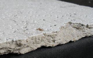 These are the methods in methods to acknowledge the asbestos ceiling design. Laboratory test: Asbestos testing for homeowners and small ...