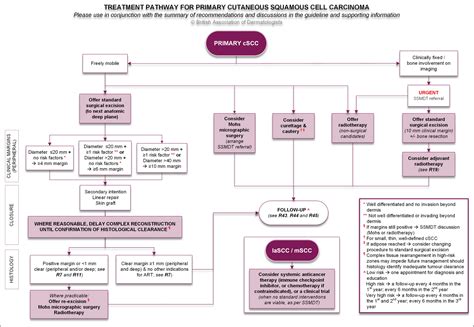 British Association Of Dermatologists Guidelines For The Management Of People With Cutaneous