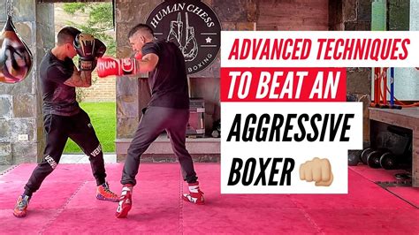 Advanced Boxing Techniques To Beat An Aggressive Boxer Youtube