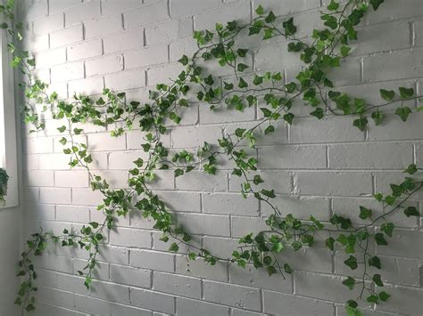 Indoor Ivy Wall Growing On Bricks Greenwall Ivy Wall Indoor Ivy