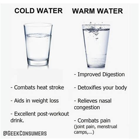 Cold Water Vs Warm Water R Wellnesspt