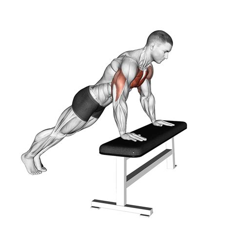 Incline Push Up Benefits Muscles Worked And More Inspire Us