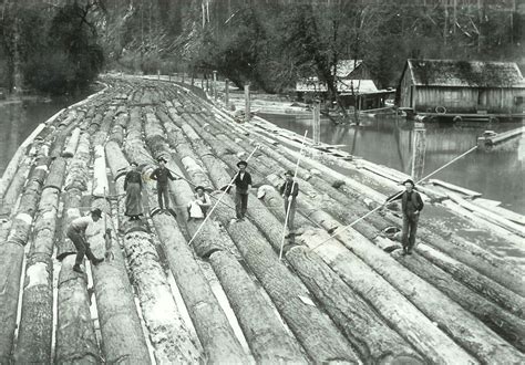 The Massive Log Rafts Of The Old New World Tough Work Calls For Tough
