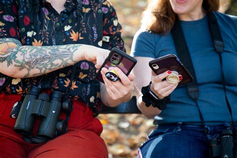 The Best Apps For Birding And Field Identification Audubon