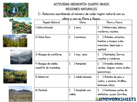 Ficha online de Regiones naturales de méxico para CUARTO GRADO DE