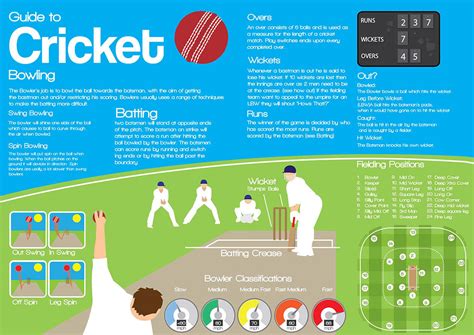 Learn To Play Cricket Infographic