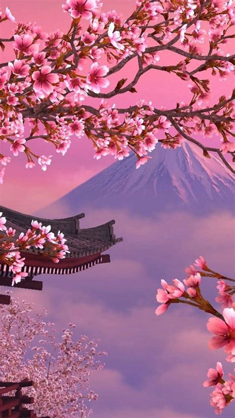 Sunset Cherry Blossom Wallpapers Top Free Sunset Cherry Blossom