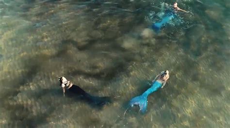 Drone Captures Mermaids Swimming In Lake Michigan