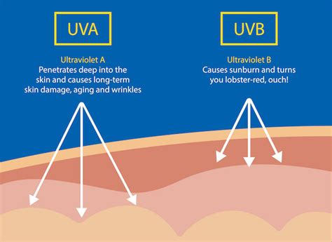 What Are The Different Types Of Sunscreen