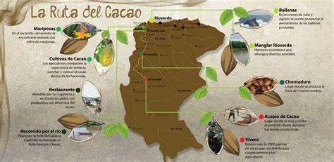 La Ruta Del Cacao