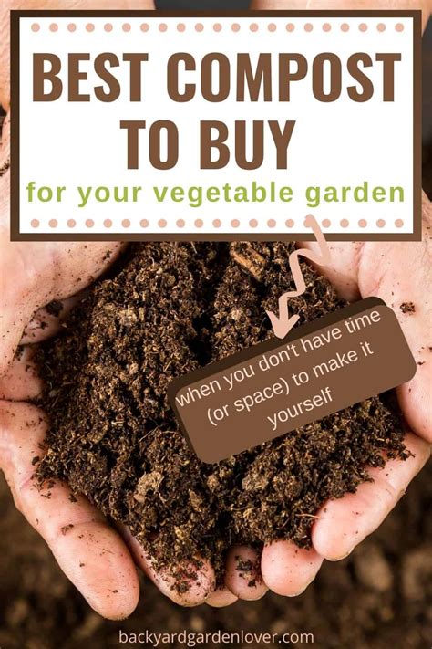 Best Compost To Buy For Vegetable Garden