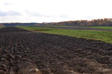 Biedronka wprowadza do swojej oferty testy na koronawirusa primacovid. Polen | Landeninformatie | Agroberichten Buitenland