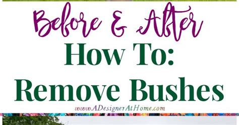We've handpicked the how to remove bushes and compared features, prices and quality so you can make an informed purchase. How To Remove Bushes http://www.adesignerathome.com/how-to ...