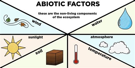 5 Examples Of Abiotic Factors