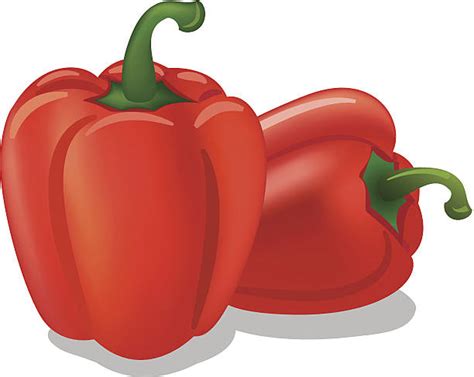 Royalty Free Bell Pepper Clip Art Vector Images And Illustrations Istock