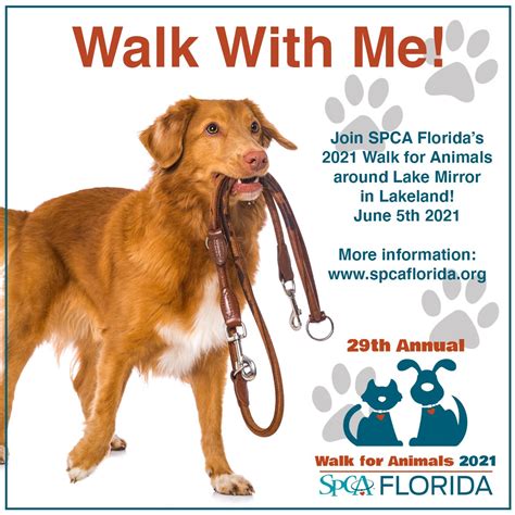 Spca Florida Hosting 29th Annual Walk For Animals