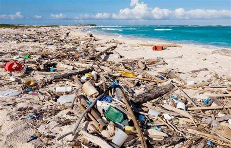 Ocean Trash And Sea Rubbish
