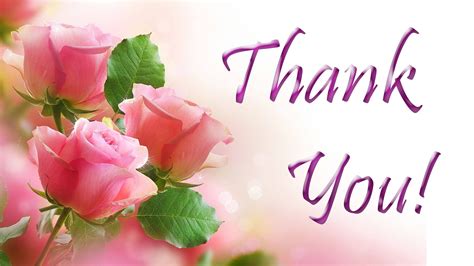 Thank You Images And Hd Pictures Thank U Images Free Download