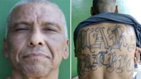 Alleged Mara Salvatrucha Gang Leader Arrested In Mexico City After