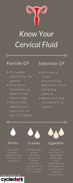 Pin On Fertility Awareness