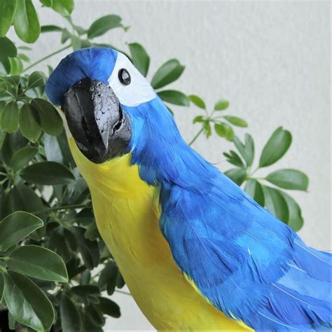 楽天市場 《リアル》幸せの青い鳥 オウム ブルーバード 黄色 イエロービッグ フェイク インテリア とり 鳥 トリ Bird 鳥好き