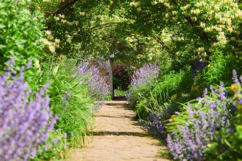 How To Get Creative With Garden Paths In Your Yard Gardeners Path