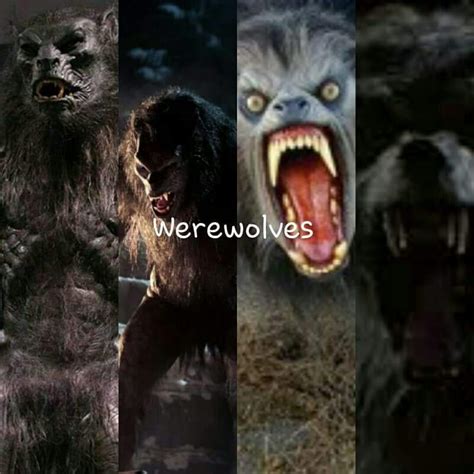 13 Favorite Best Looking Werewolves In Movies And Games Horror Amino