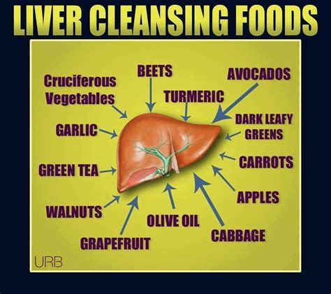 How To Restore Liver Health Cares Healthy