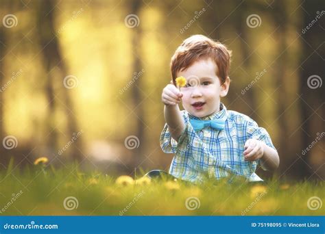 A Cute Young Boy In A Field Of Flowers Stock Image Image Of Young